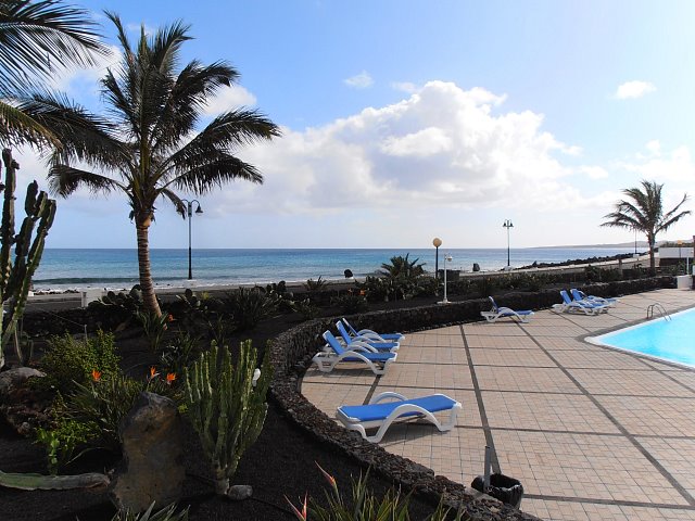 terrasse / piscine